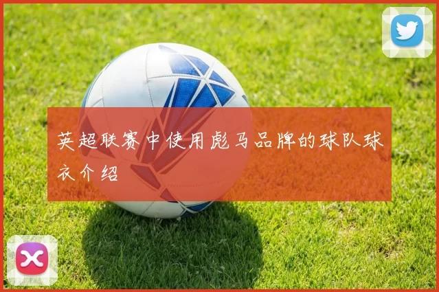 英超联赛中使用彪马品牌的球队球衣介绍