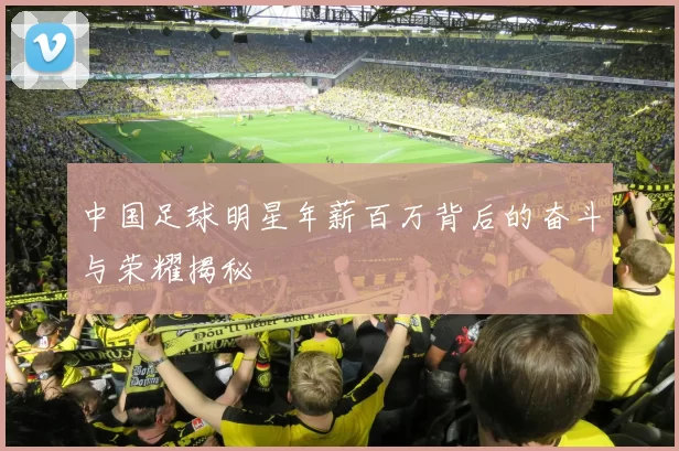 中国足球明星年薪百万背后的奋斗与荣耀揭秘