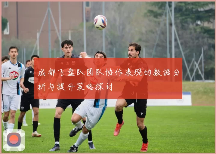 成都飞盘队团队协作表现的数据分析与提升策略探讨
