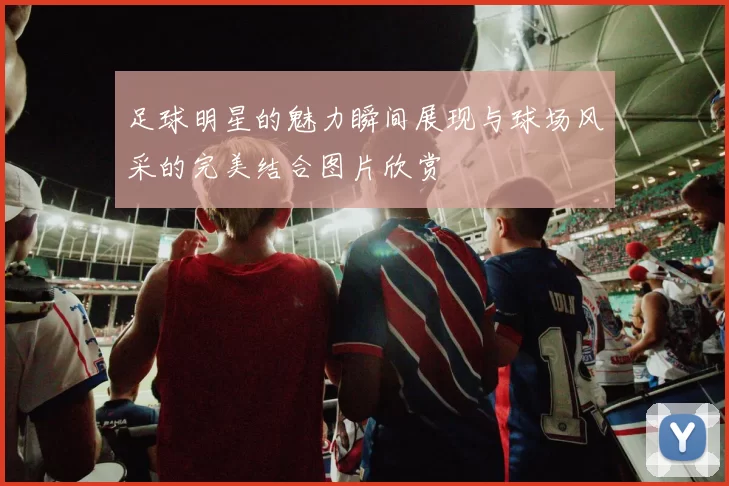 足球明星的魅力瞬间展现与球场风采的完美结合图片欣赏
