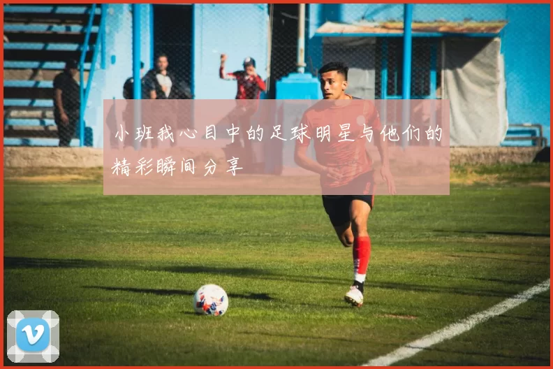 小班我心目中的足球明星与他们的精彩瞬间分享