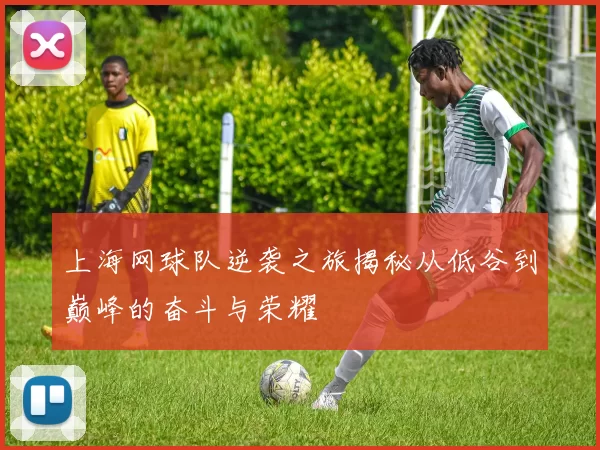 上海网球队逆袭之旅揭秘从低谷到巅峰的奋斗与荣耀