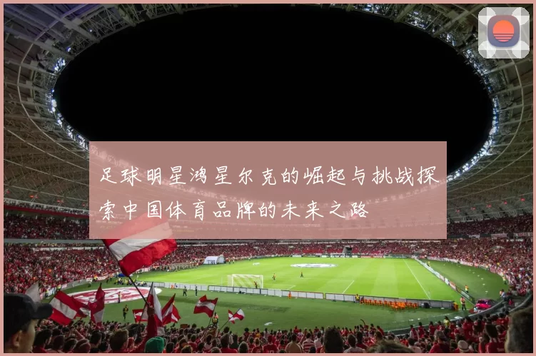足球明星鸿星尔克的崛起与挑战探索中国体育品牌的未来之路