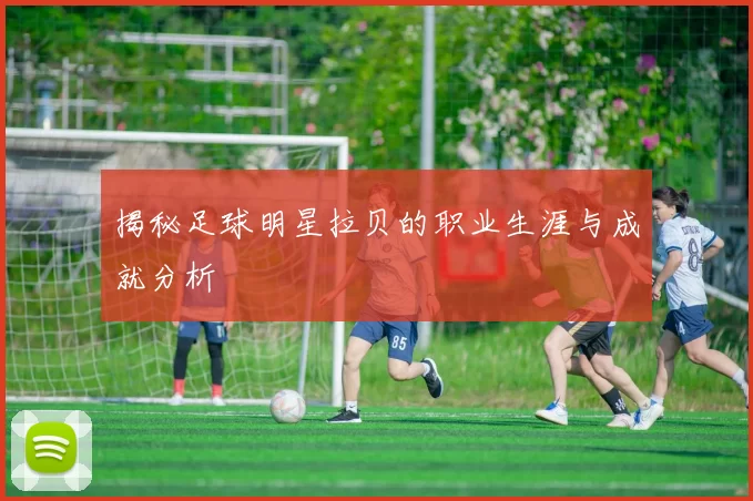 揭秘足球明星拉贝的职业生涯与成就分析