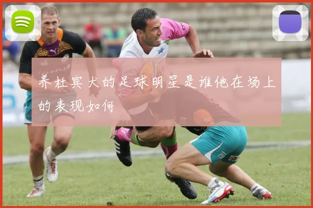 养杜宾犬的足球明星是谁他在场上的表现如何