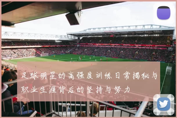 足球明星的高强度训练日常揭秘与职业生涯背后的坚持与努力