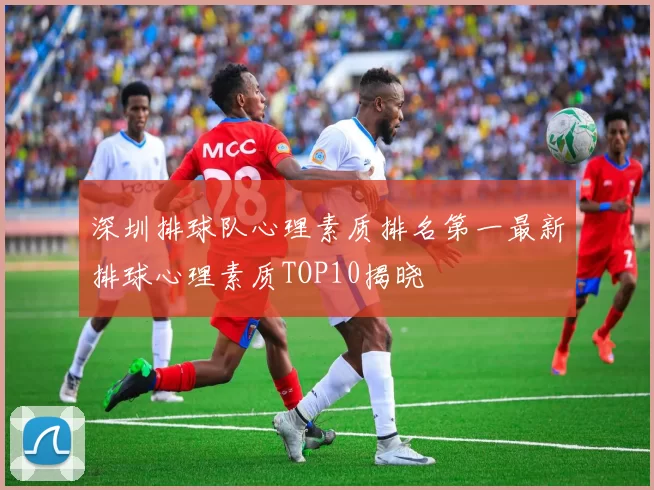 深圳排球队心理素质排名第一最新排球心理素质TOP10揭晓
