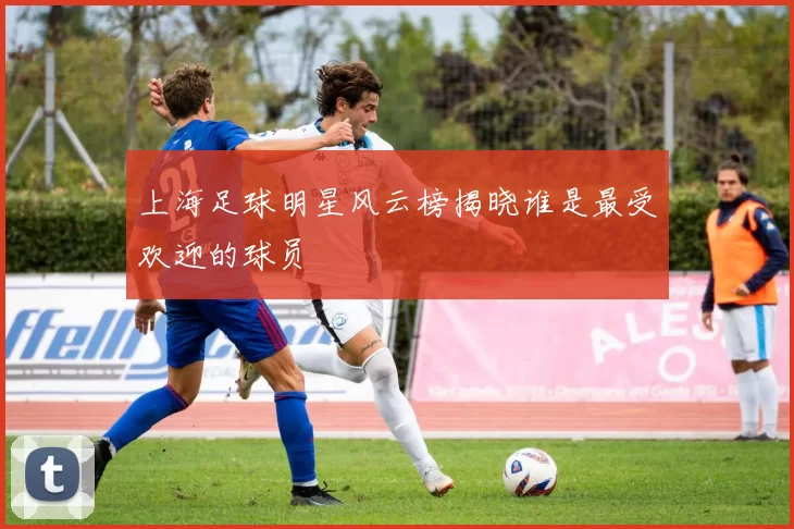 上海足球明星风云榜揭晓谁是最受欢迎的球员