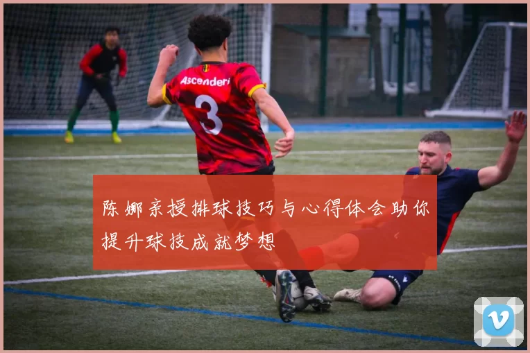 陈娜亲授排球技巧与心得体会助你提升球技成就梦想