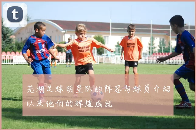 芜湖足球明星队的阵容与球员介绍以及他们的辉煌成就