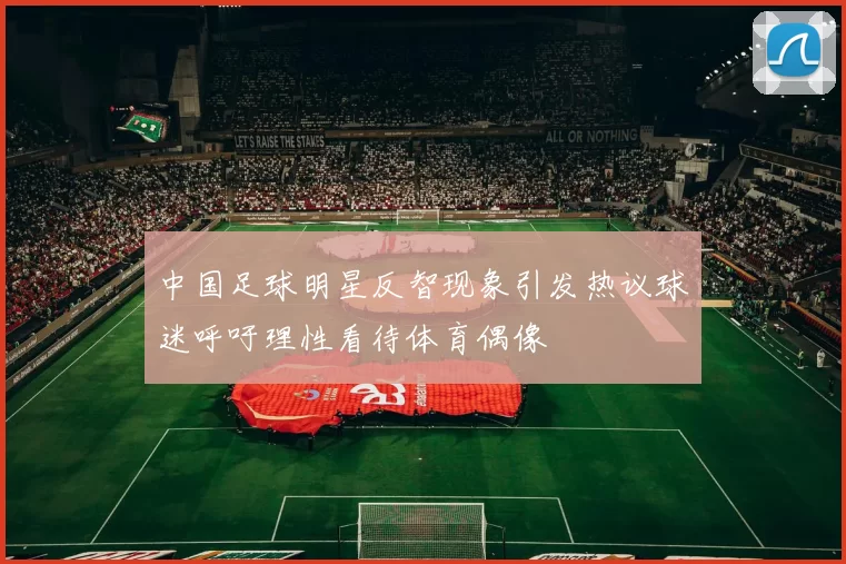 中国足球明星反智现象引发热议球迷呼吁理性看待体育偶像