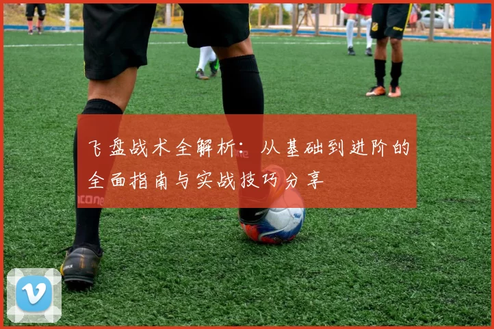 飞盘战术全解析：从基础到进阶的全面指南与实战技巧分享