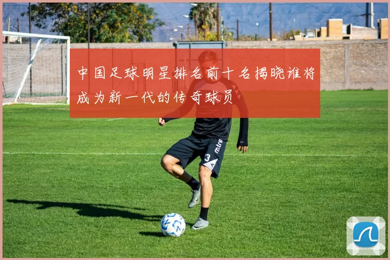 中国足球明星排名前十名揭晓谁将成为新一代的传奇球员