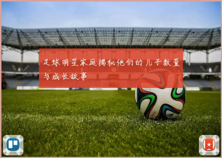 足球明星家庭揭秘他们的儿子数量与成长故事