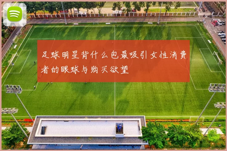足球明星背什么包最吸引女性消费者的眼球与购买欲望