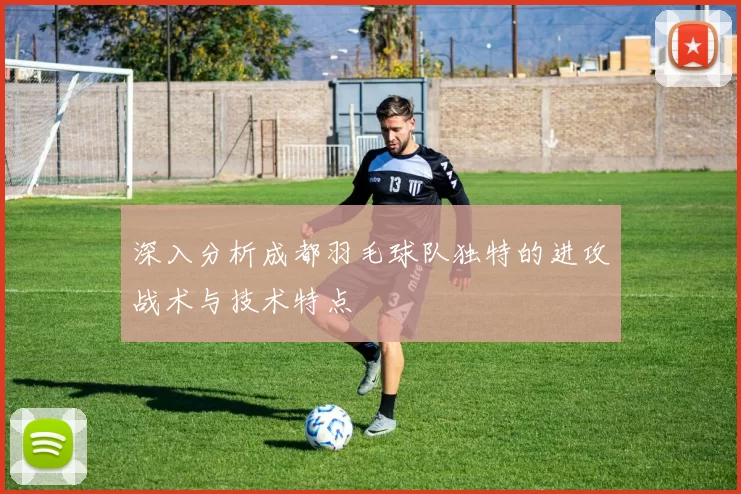 深入分析成都羽毛球队独特的进攻战术与技术特点