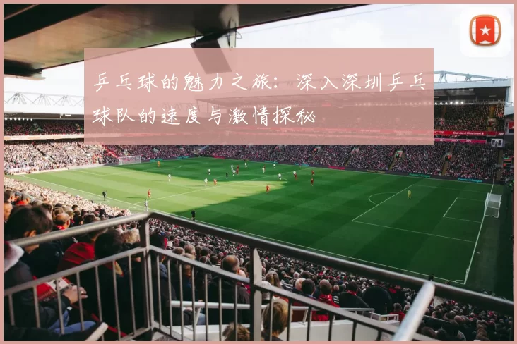 乒乓球的魅力之旅：深入深圳乒乓球队的速度与激情探秘