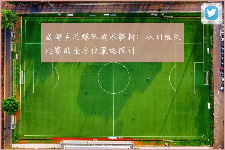 成都乒乓球队战术解析：从训练到比赛的全方位策略探讨