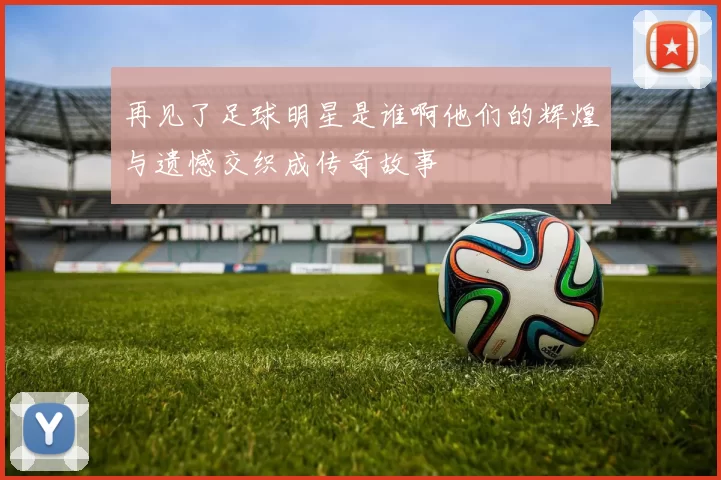 再见了足球明星是谁啊他们的辉煌与遗憾交织成传奇故事