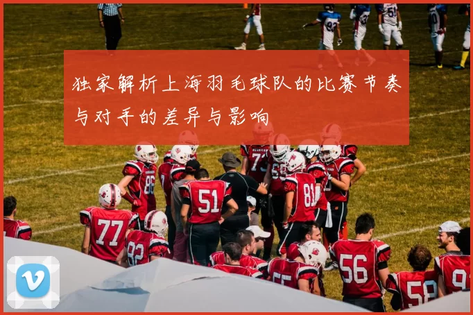 独家解析上海羽毛球队的比赛节奏与对手的差异与影响