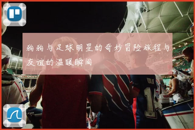 狗狗与足球明星的奇妙冒险旅程与友谊的温暖瞬间