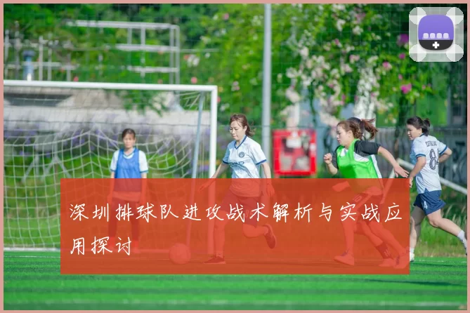 深圳排球队进攻战术解析与实战应用探讨