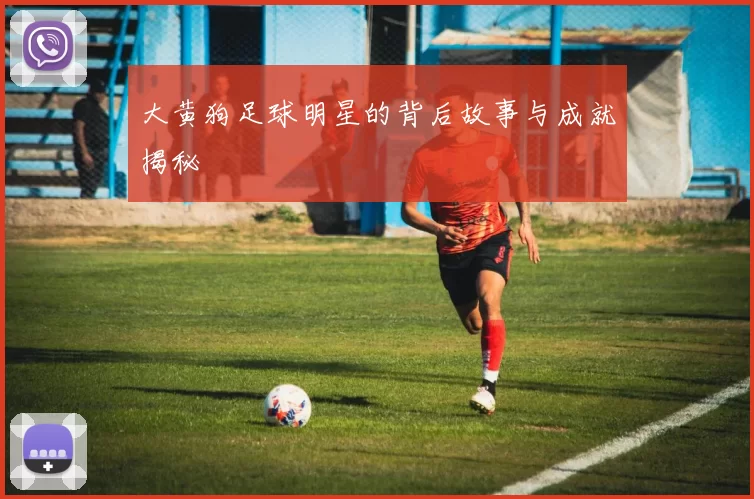 大黄狗足球明星的背后故事与成就揭秘