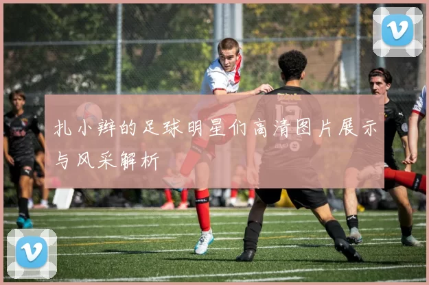 扎小辫的足球明星们高清图片展示与风采解析