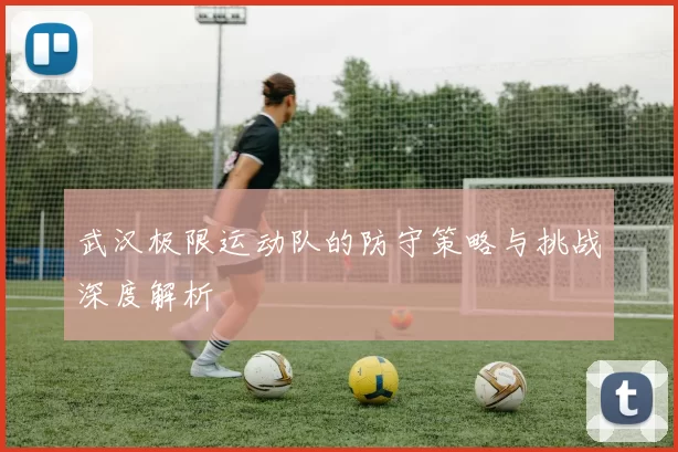 武汉极限运动队的防守策略与挑战深度解析