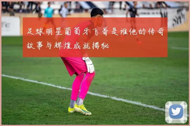 足球明星葡萄牙飞哥是谁他的传奇故事与辉煌成就揭秘