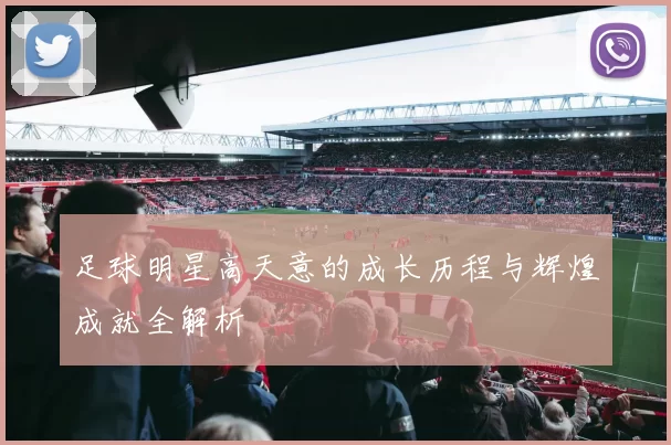 足球明星高天意的成长历程与辉煌成就全解析