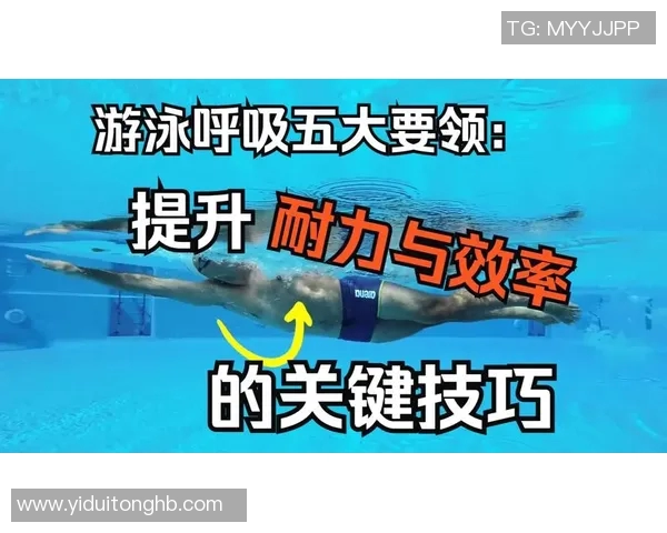 提高自由泳速度与耐力的技巧训练方法与实践指南