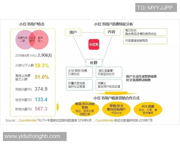 上海极限运动队的区域防守策略与热点分析探讨