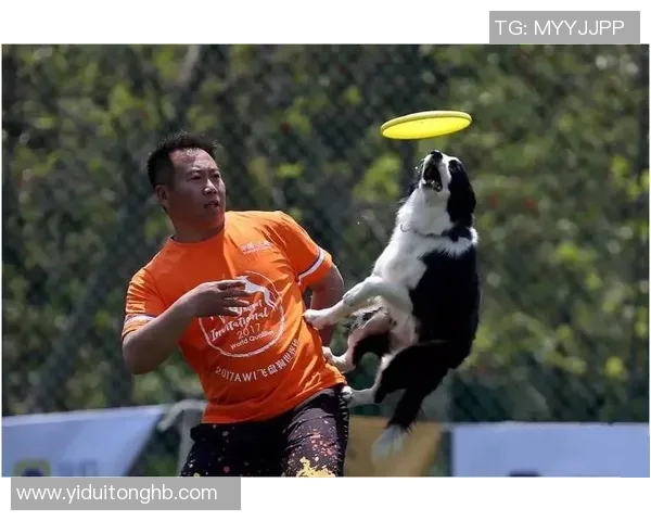 上海飞盘队的战术解析与比赛节奏的深度剖析