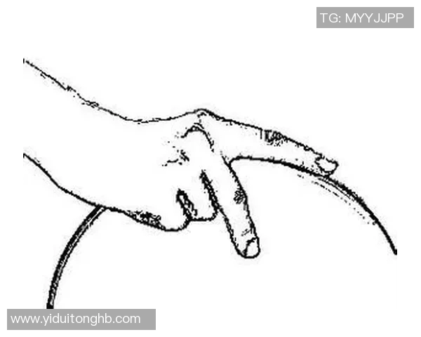 上海飞盘队进攻分析:优缺点与未来提升方向探讨