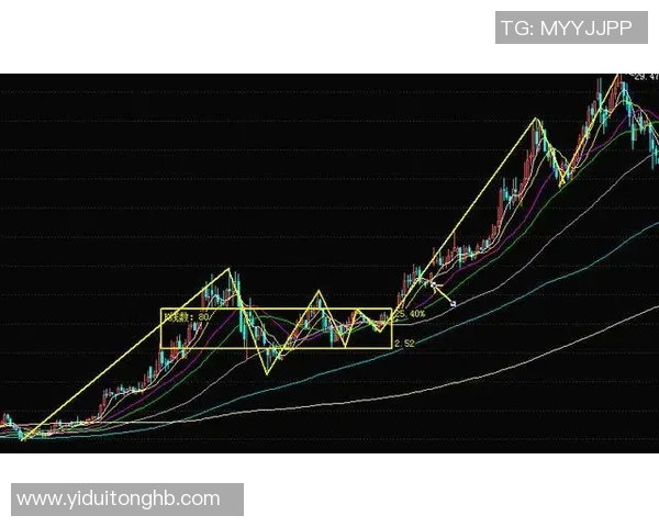 深入分析上海飞盘队防守反击战术的独特魅力与实战应用